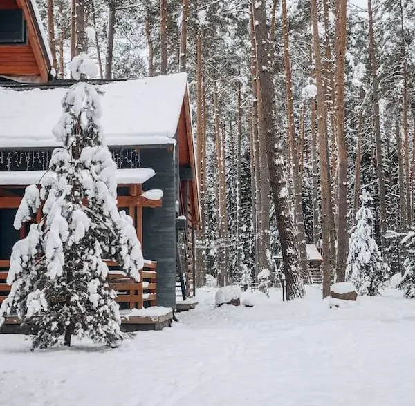 Ski Resort In California